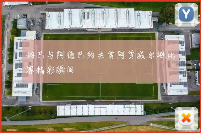 姆巴与阿德巴约共赏阿贾威尔逊比赛精彩瞬间